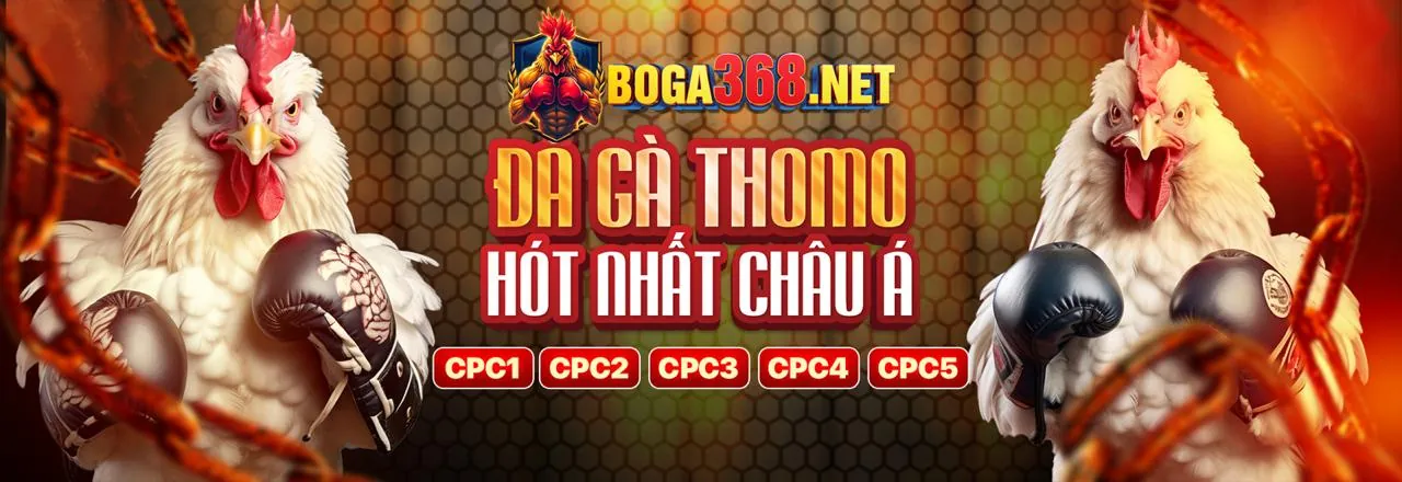 Cam kết của rio66.bet apk về cờ bạc có trách nhiệm
